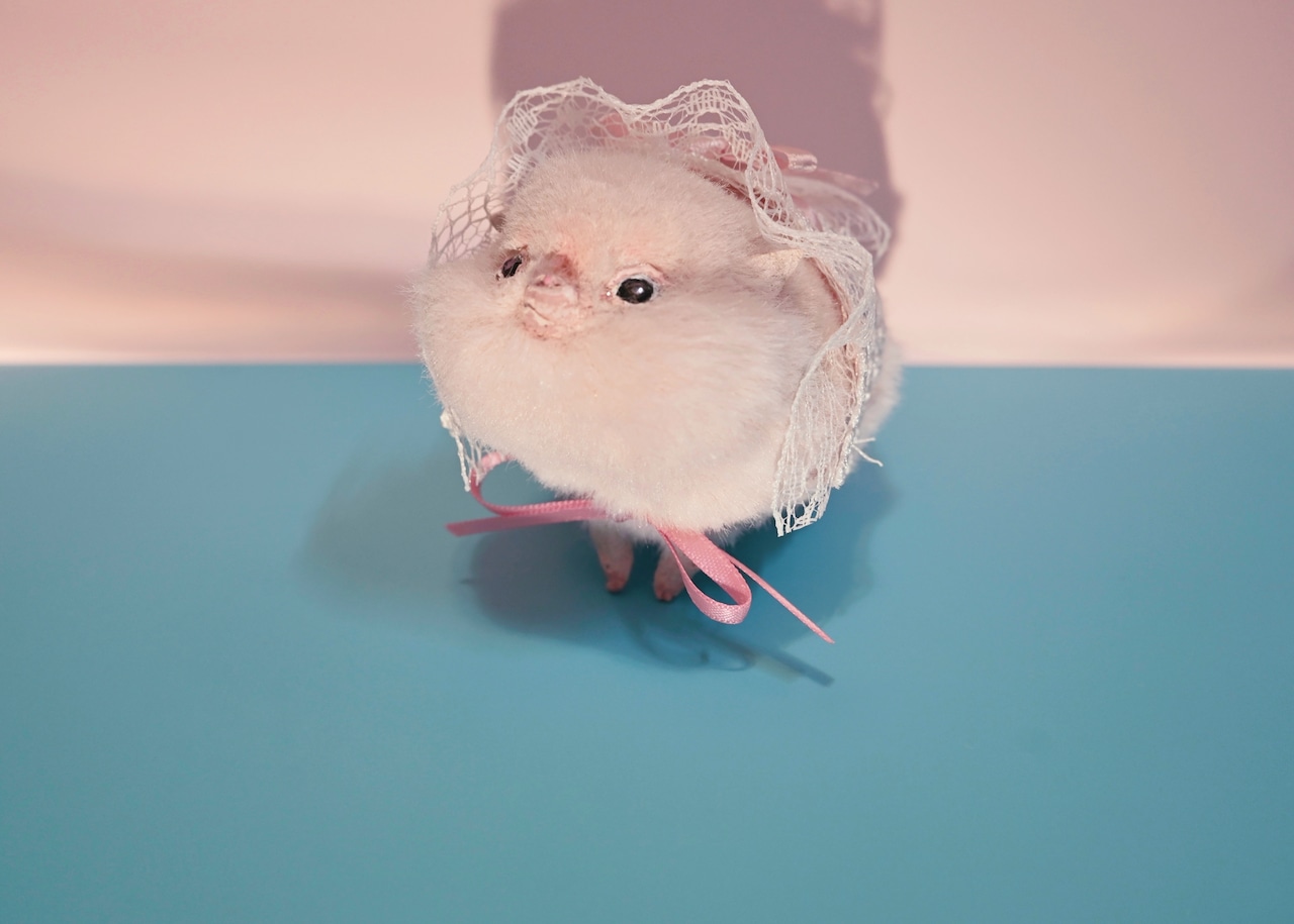ピッグ