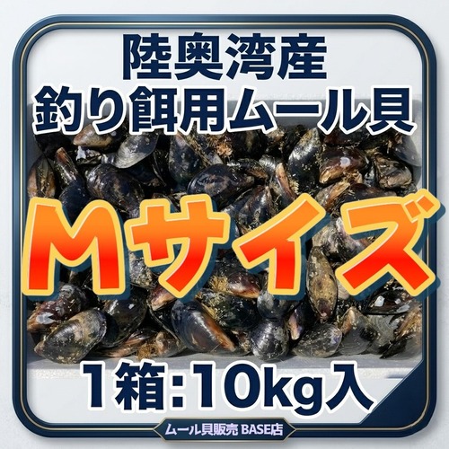 ■1箱：10kg入り【釣り餌用 ムール貝】Mサイズ商品