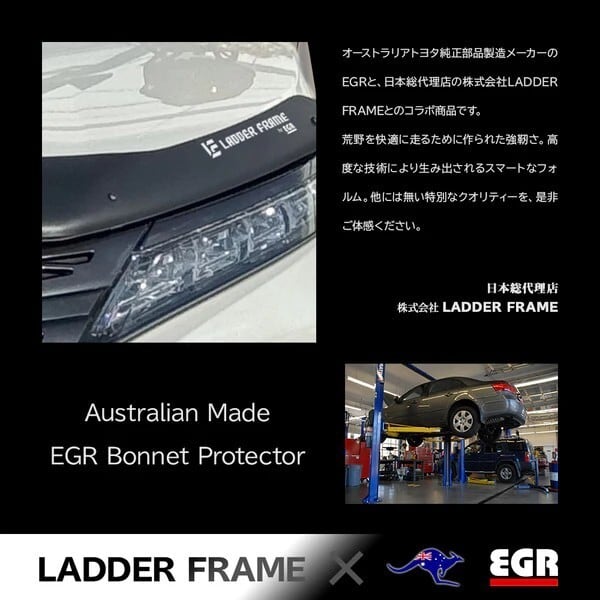 LADDER FRAME デリカD5 後期 バグガード ボディガード MITSUBISHI