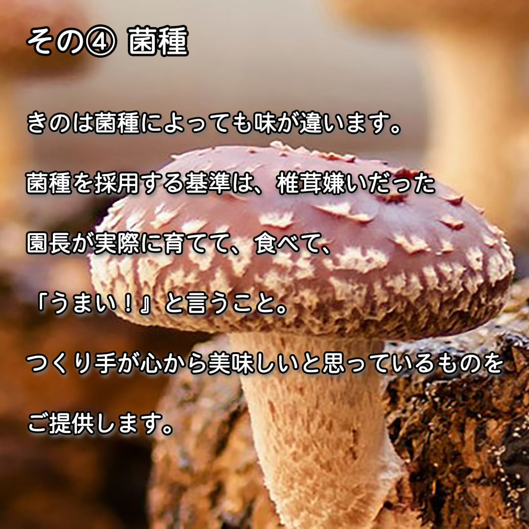 特上】長生き椎茸と ソーセージのセット | 佐倉きのこ園ネット