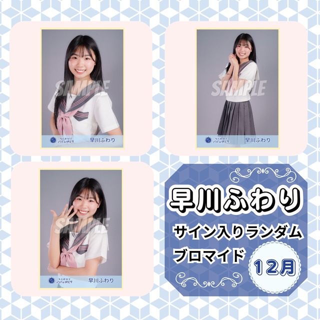 早川ふわり 12月 サイン入りランダムブロマイド | N GRACE SHOP