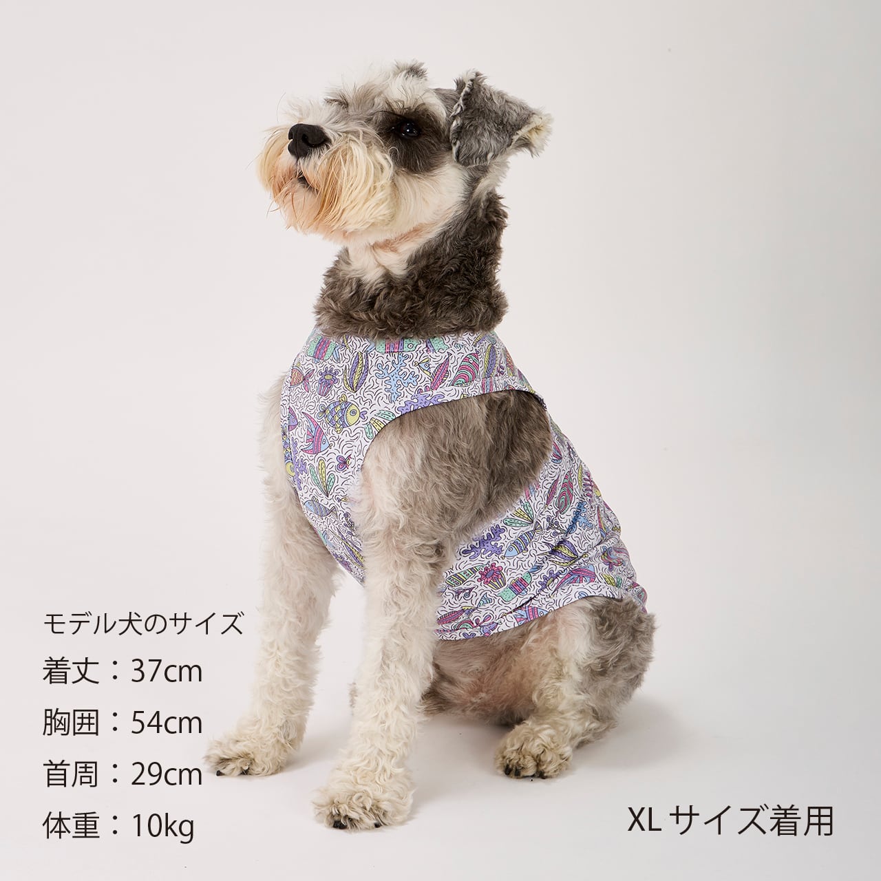 CCL COOLING TANK（M.MD.L） CCLクーリングタンク | MANDARINE