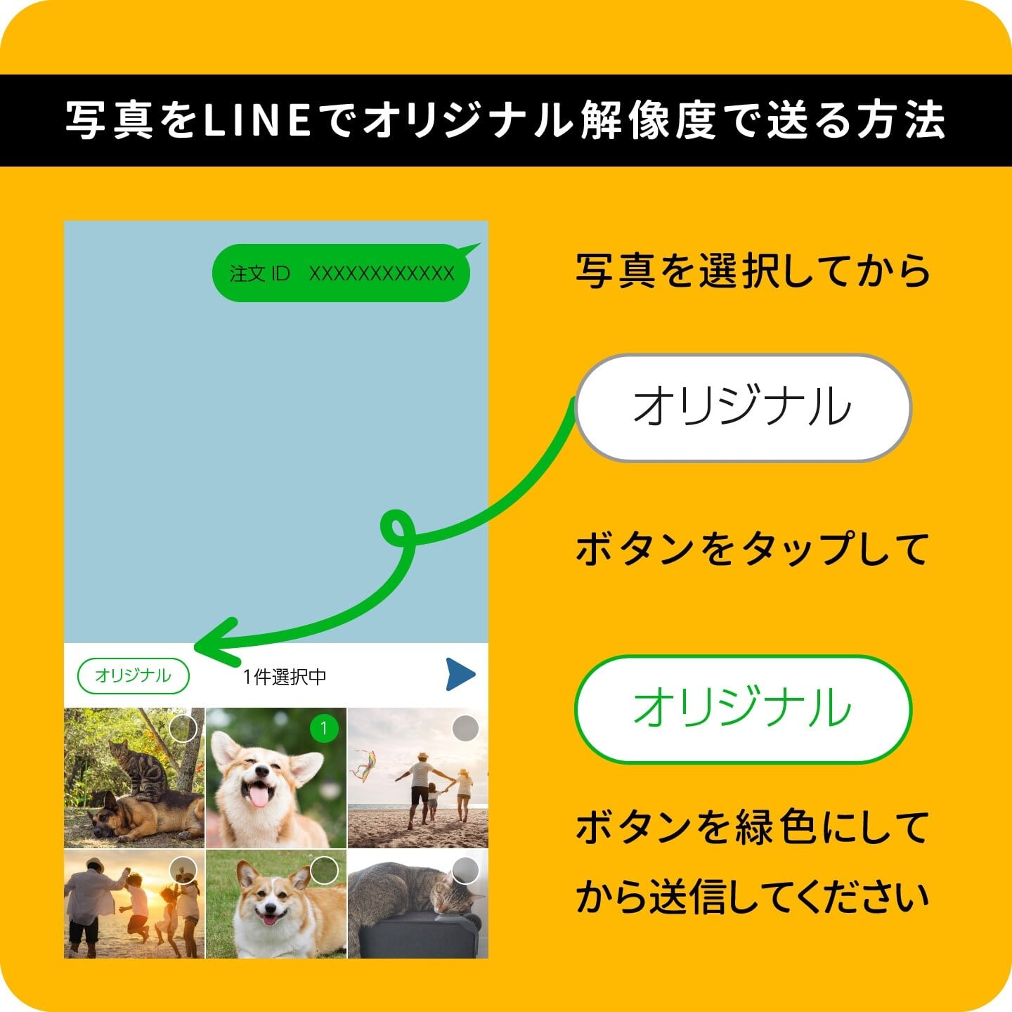 オーダーマグネット【円形55M】(直径55mm正円) ラウンド型カスタム
