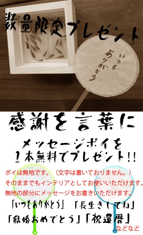 樹脂金魚 3D金魚 アート 数量限定 めだか 「輝/もみじ」 岐阜県 樹脂金魚 3D金魚 アート 数量限定 めだか 「輝/もみじ」 岐阜県