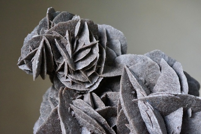 デザートローズ　DESERT ROSE　