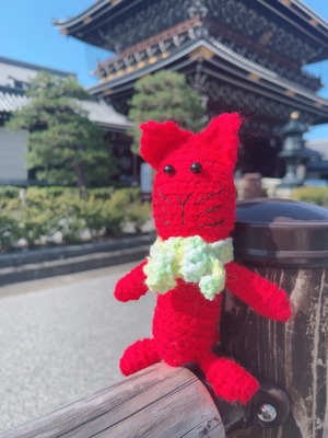 RED CAT