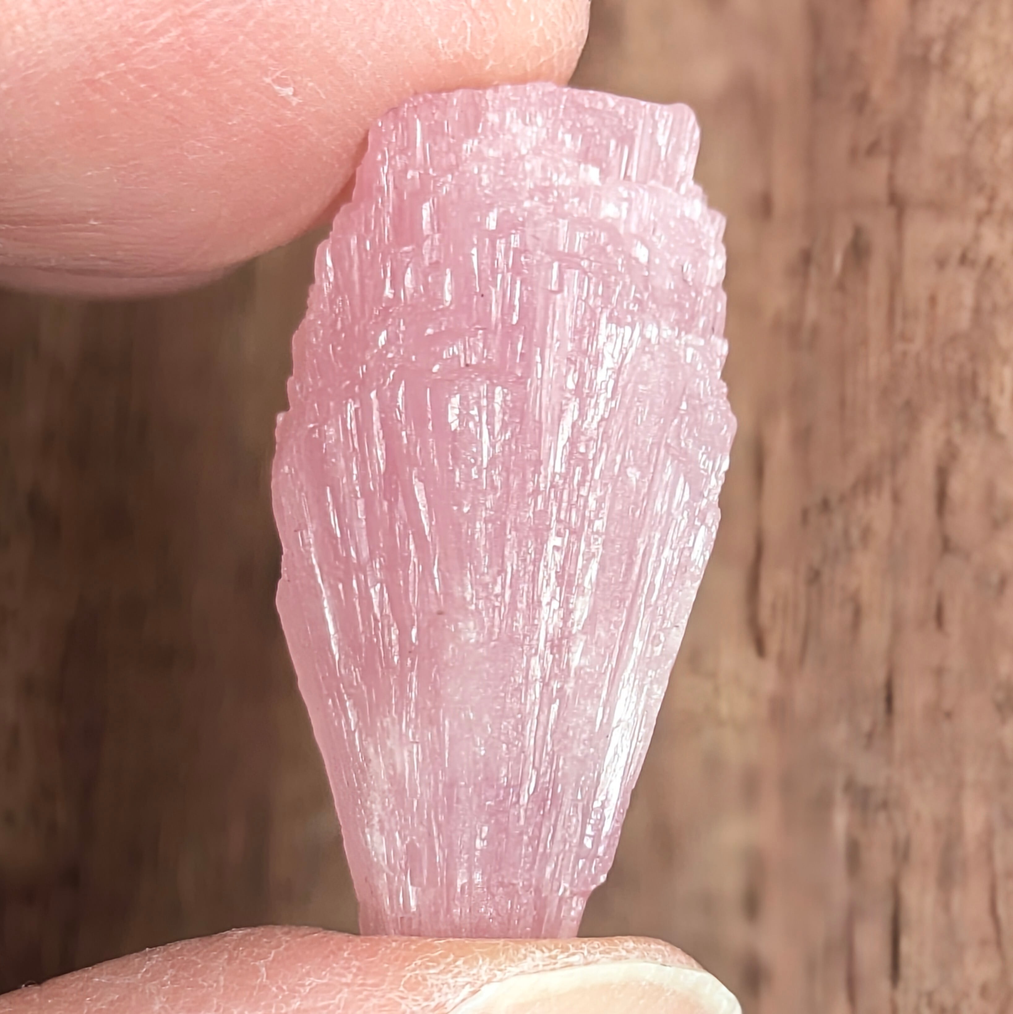 アブデーバイト原石 ミャンマー産【19.454ct】PRO208614 | Gem's