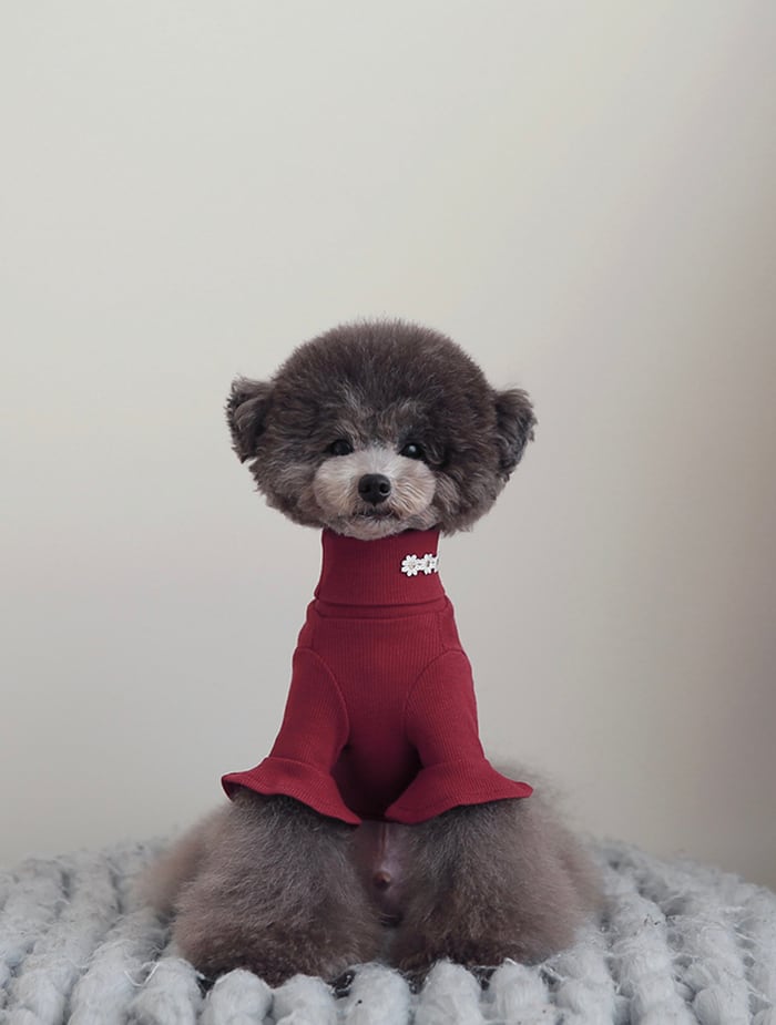 袖フリルネックポーラ S ~ XL 4color / 犬服 新作 秋冬 トップス 可愛い 犬の服 シンプル ペット洋服 ドッグウェア 犬 猫