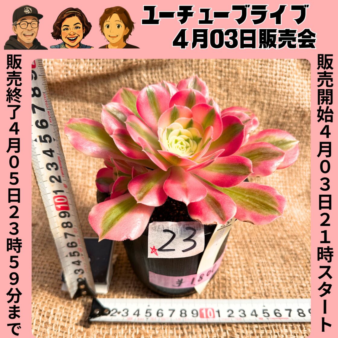 23ピンクウィッチ YouTube販売会4/3ご紹介商品 | Pay ID 23ピンクウィッチ YouTube販売会4/3ご紹介商品 | Pay ID