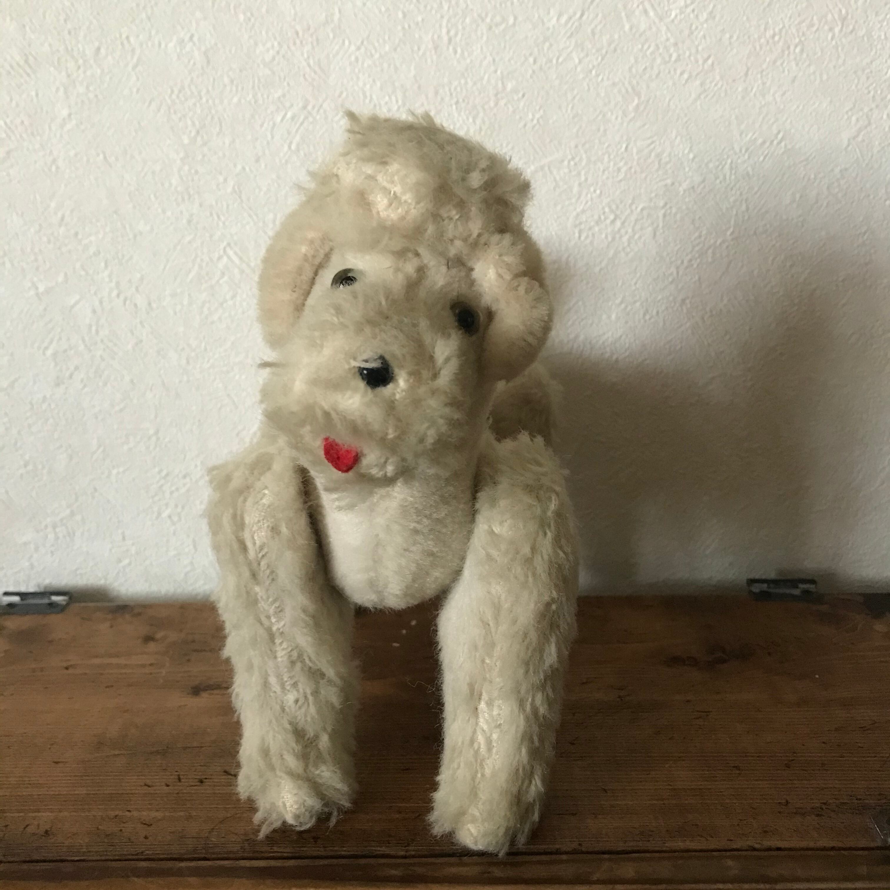 おねだりワンコ