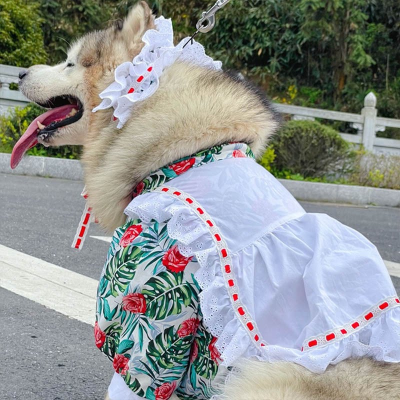 ペットアクセサリーメイド服犬用ドレスペット服中型大型犬ラブラドール