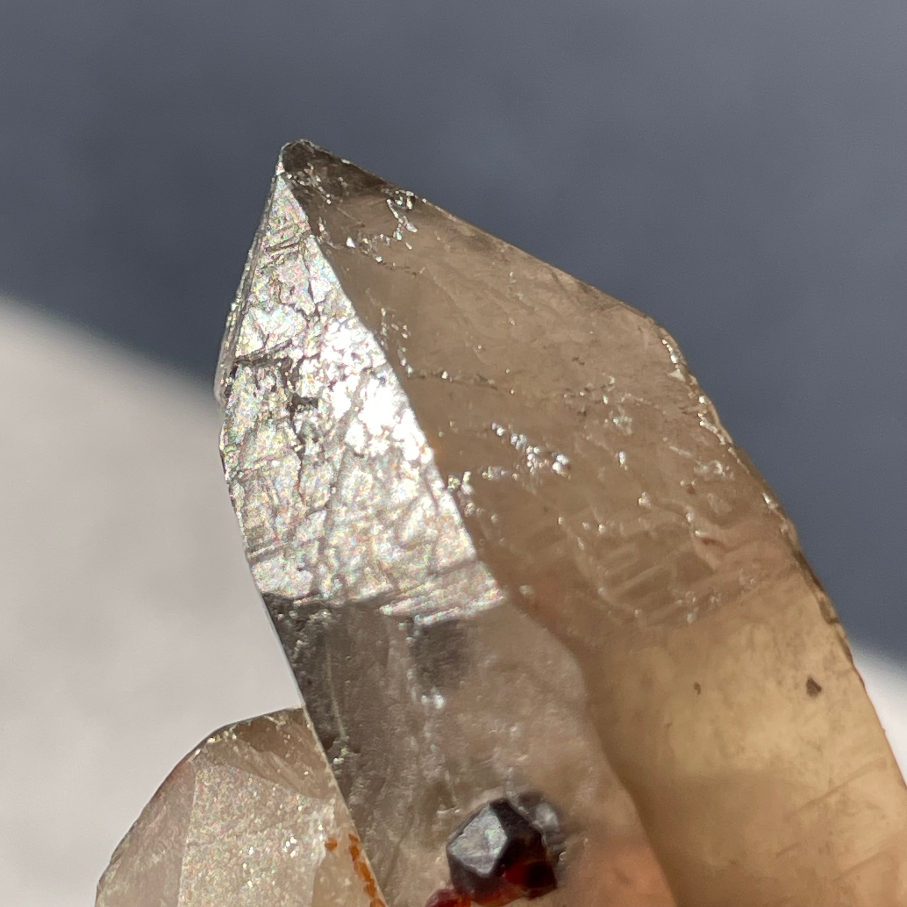中国 福建省産♦︎SmokyQuartz Garnet|スモーキークォーツ ガーネット
