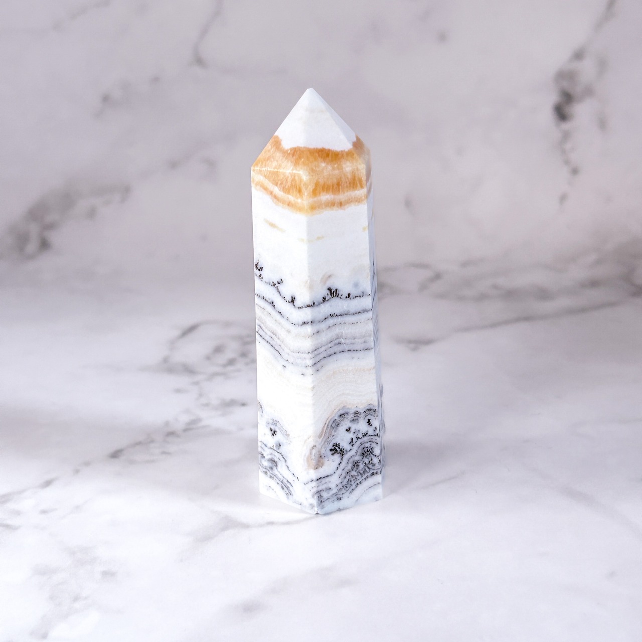 デンドリティックオレンジカルサイト タワー B