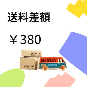 送料差額380円（事務局から連絡があった方のみご購入ください）