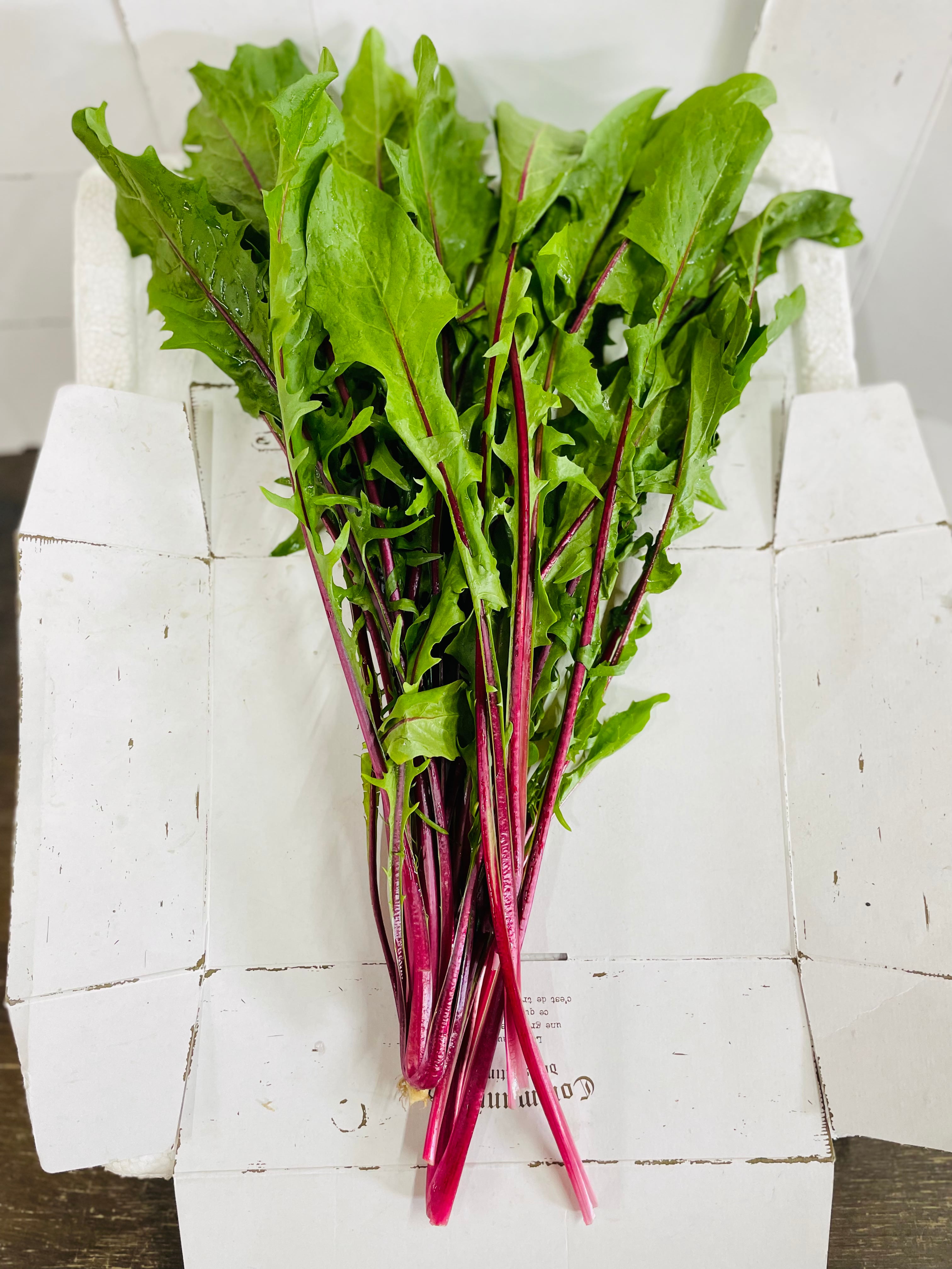 定期発送＊ クール便 プチサイズ『コンパクト』 | 京都葉っぱ屋(仮)