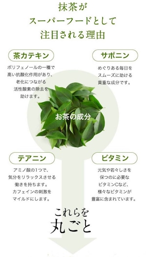 オーガニック抹茶 & 緑茶 ティーバッグ 各15袋セット 農薬不使用 化学肥料不使用