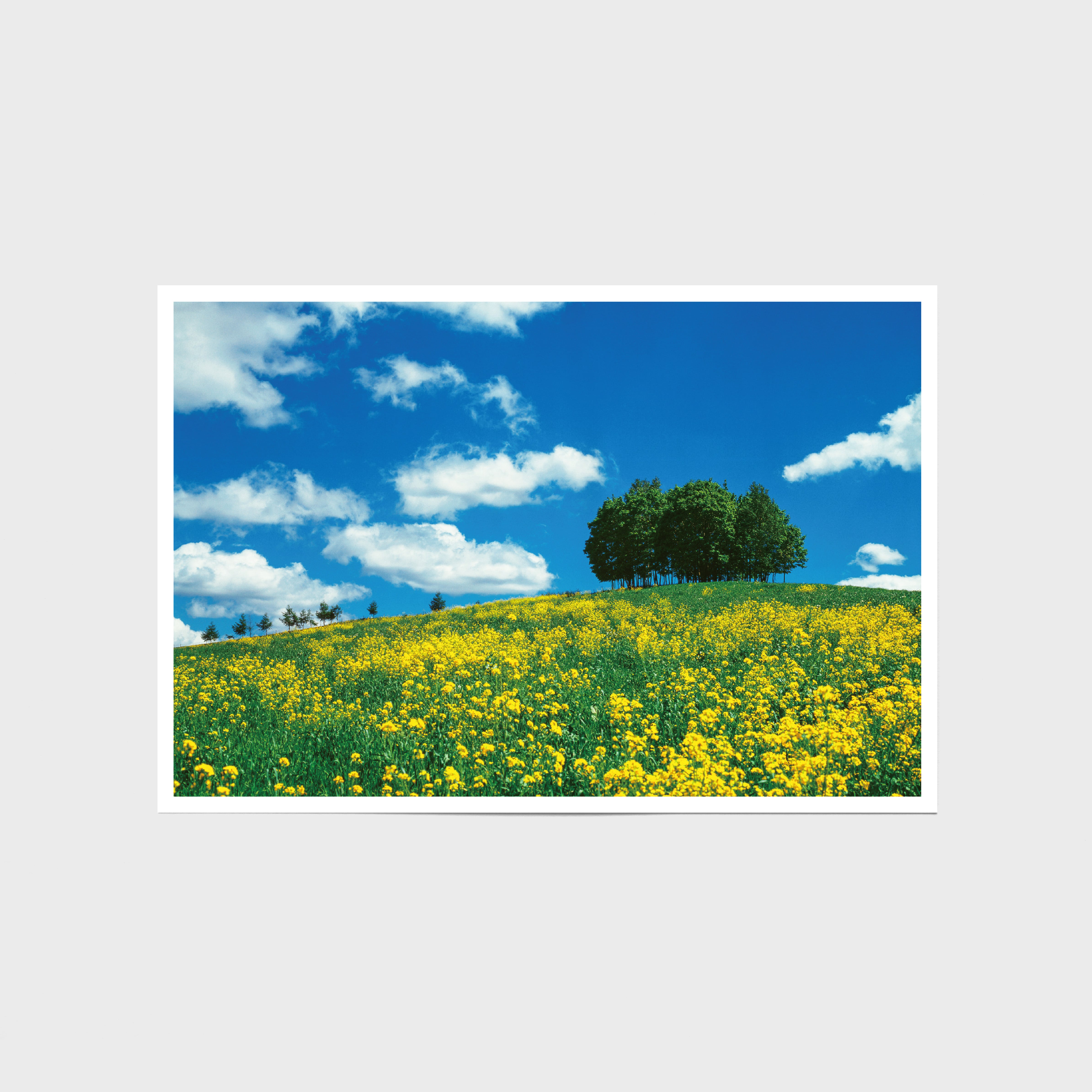 SEASONS OF THE HILLS〈ポストカード10枚セット〉 | 拓真館 SEASONS OF THE HILLS〈ポストカード10枚セット〉 | 拓真館