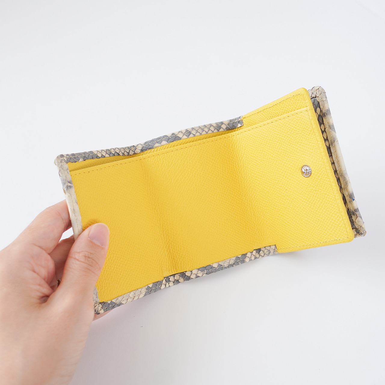 〈Python.〉Mini wallet パイソン×ジョーヌ・画像3
