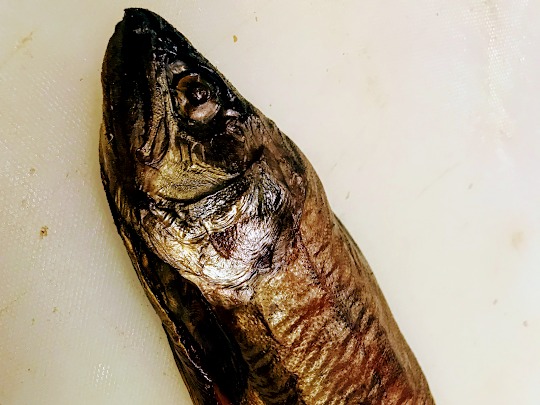 奥多摩やまめ くんせい Tokyo Okutama Fact Ry 奥多摩やまめ くんせい Tokyo Okutama Fact Ry