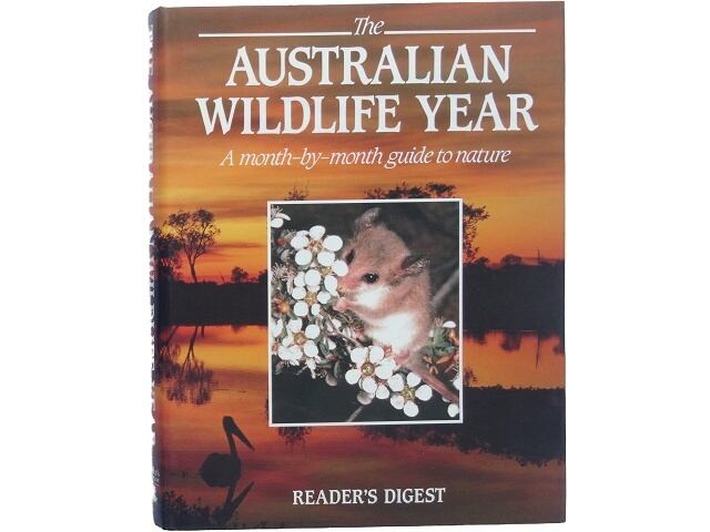 洋書◇自然界のカモフラージュ 動物写真集 本 カエル | 洋書堂