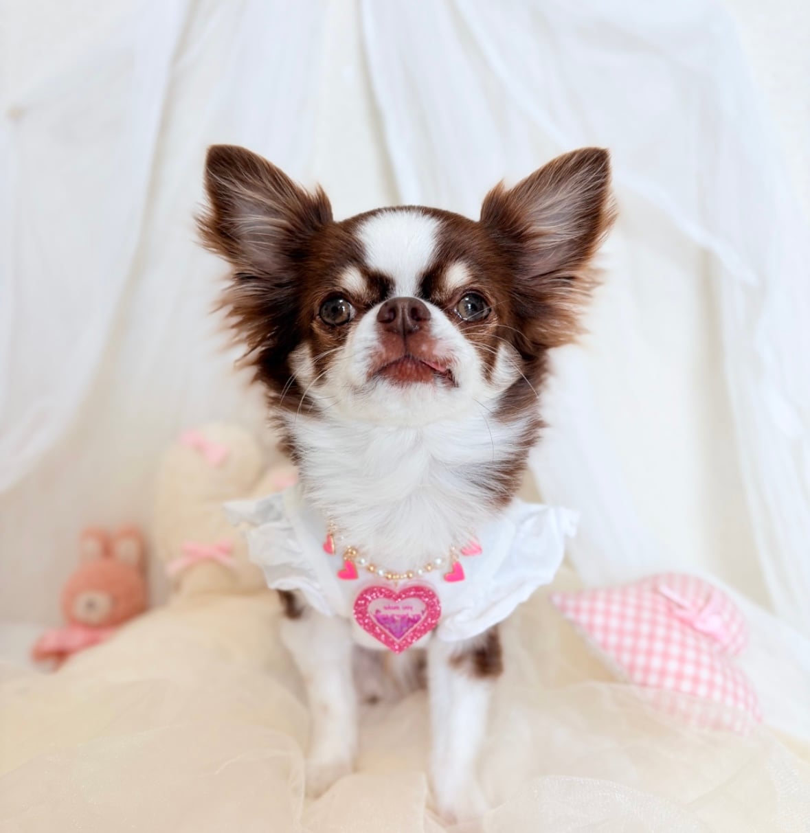 シャカシャカピンクハートネックレス（新作＊バックリボン付き）