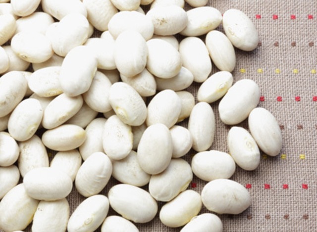 JA上士幌町　福白金時(生豆)500g　※2024年産