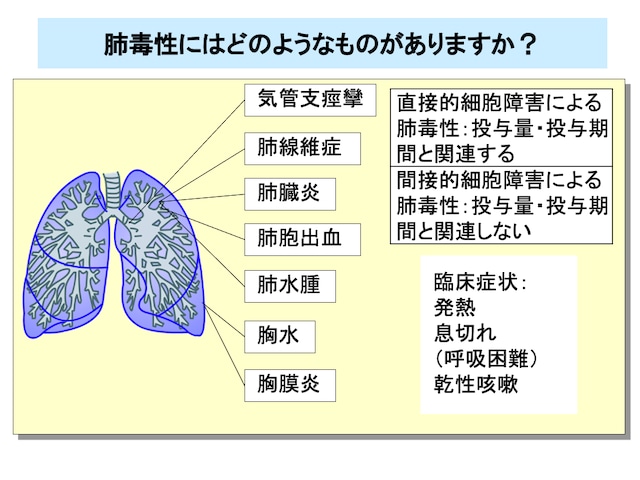 がん化学療法の副作用対策入門