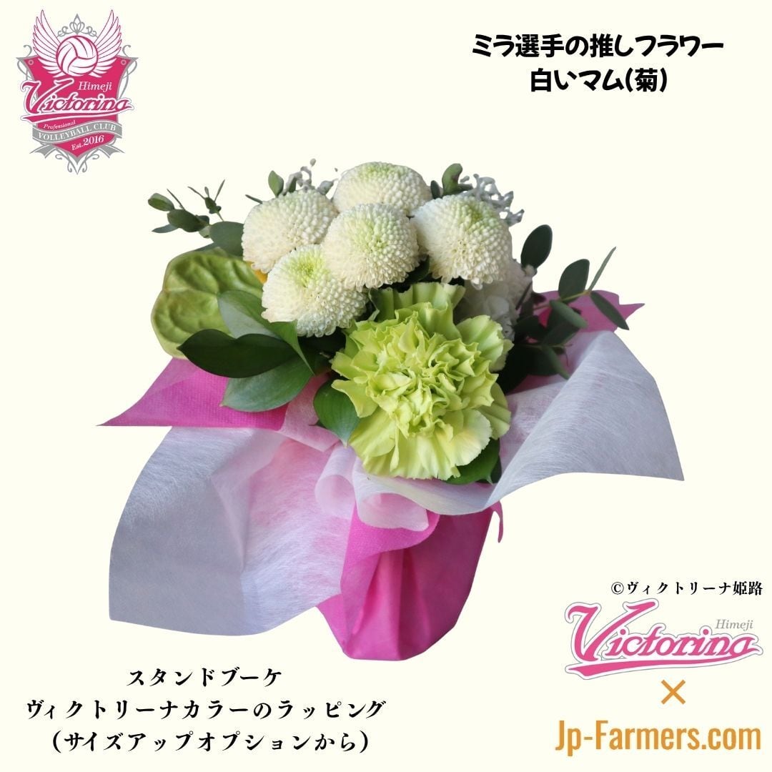 ヴィクトリーナ姫路応援企画】ブーケを贈って応援しよう ミラ