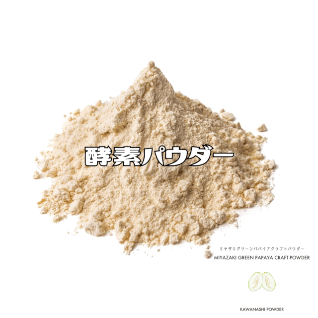 【南国酵素パウダー】グリーンパパイア果実皮無しパウダー・100g〜酵素の王様を手軽にパクッと〜