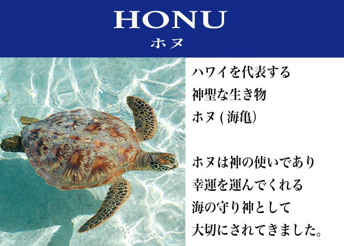 NA HOKU カメ ピアス オリジナルポーチ付き