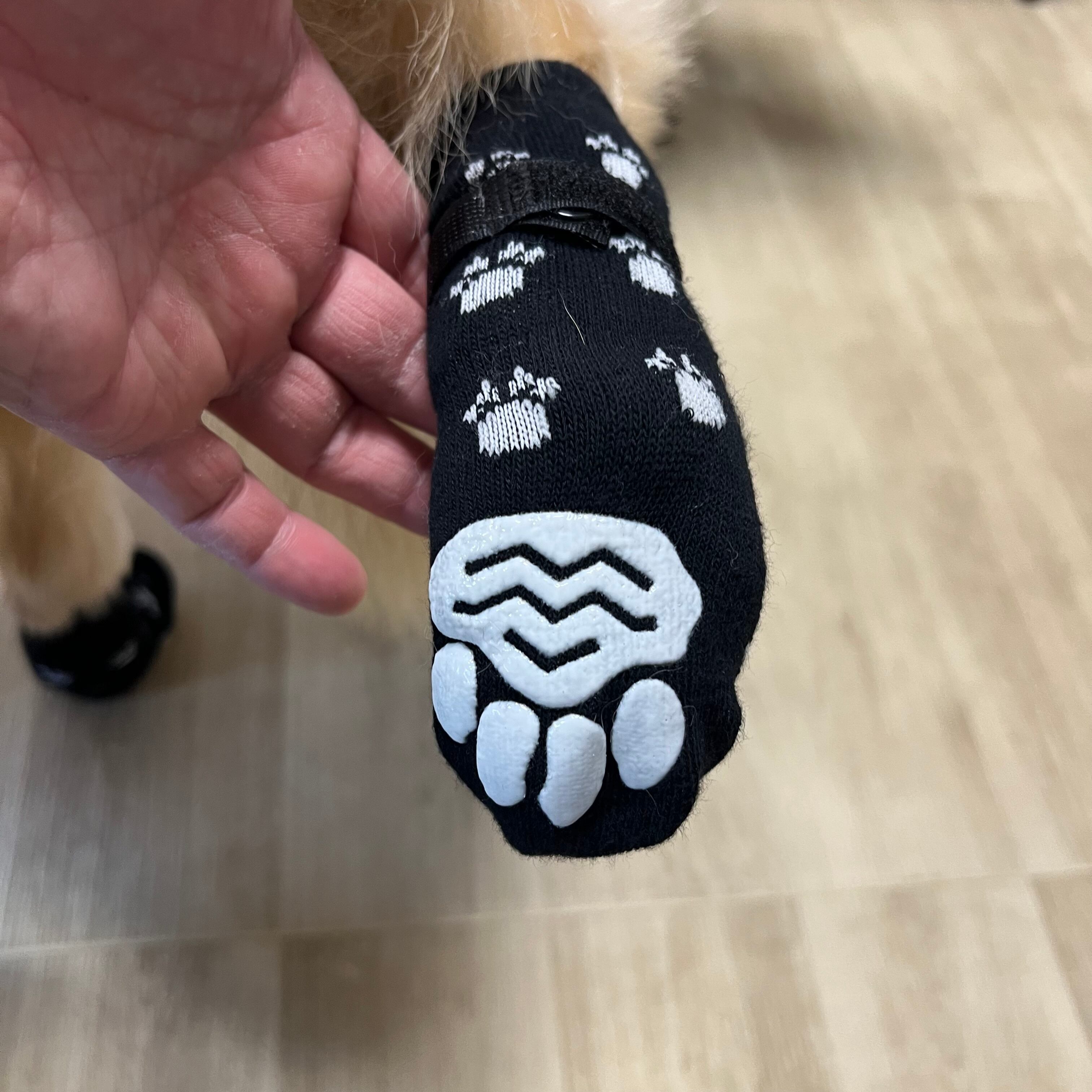 犬 靴下 滑り止め 犬用ソックス マジックテープ付き 脱げない 肉球保護