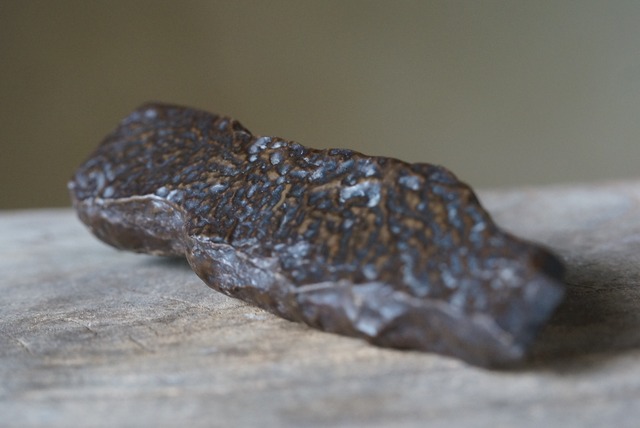 ゴビ砂漠産マッドストーン Gobi Desert Mudstone