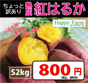 「ちょっと訳あり」熟成紅はるか S2kg