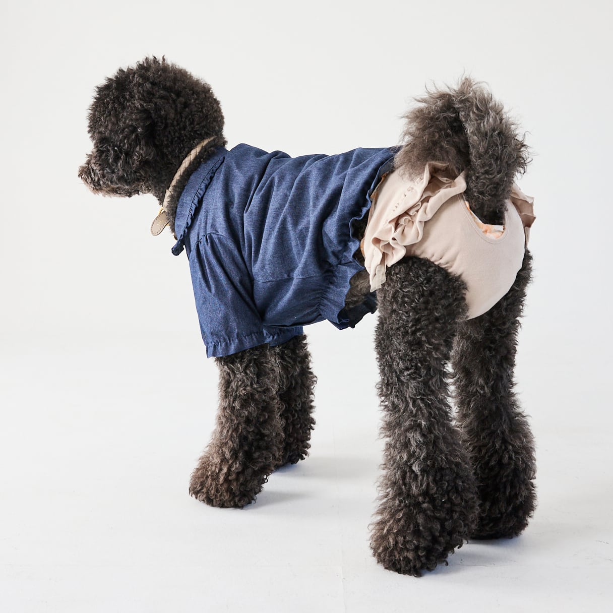 252603大型犬サイズ］お出かけパンツ | 犬服ブランド 2e deuxieme cale