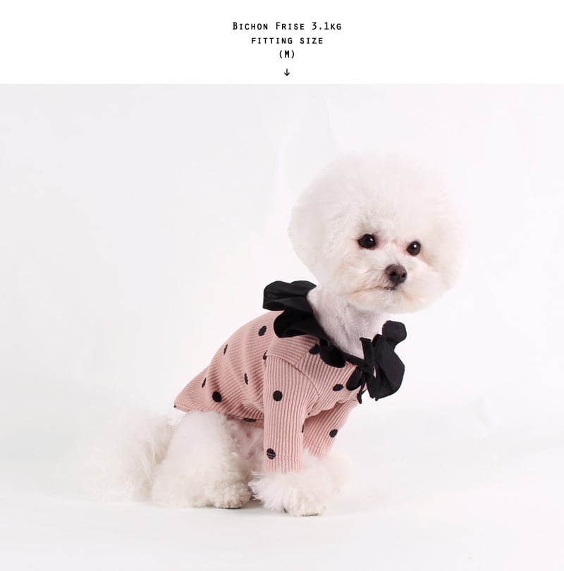 ドットフリルニット S ~ XL 2color / 犬服 ドッグウェア 小型犬 中型犬 犬の服 わんちゃん ペット