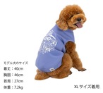 Chi-bee CARDBORD KNIT　XL､XLB､XXLサイズ
