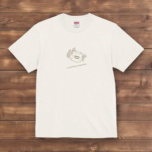 メイタイシガキフグ-Tシャツ(バニラホワイト)