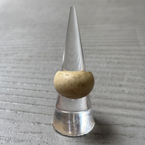 Ivory band ring