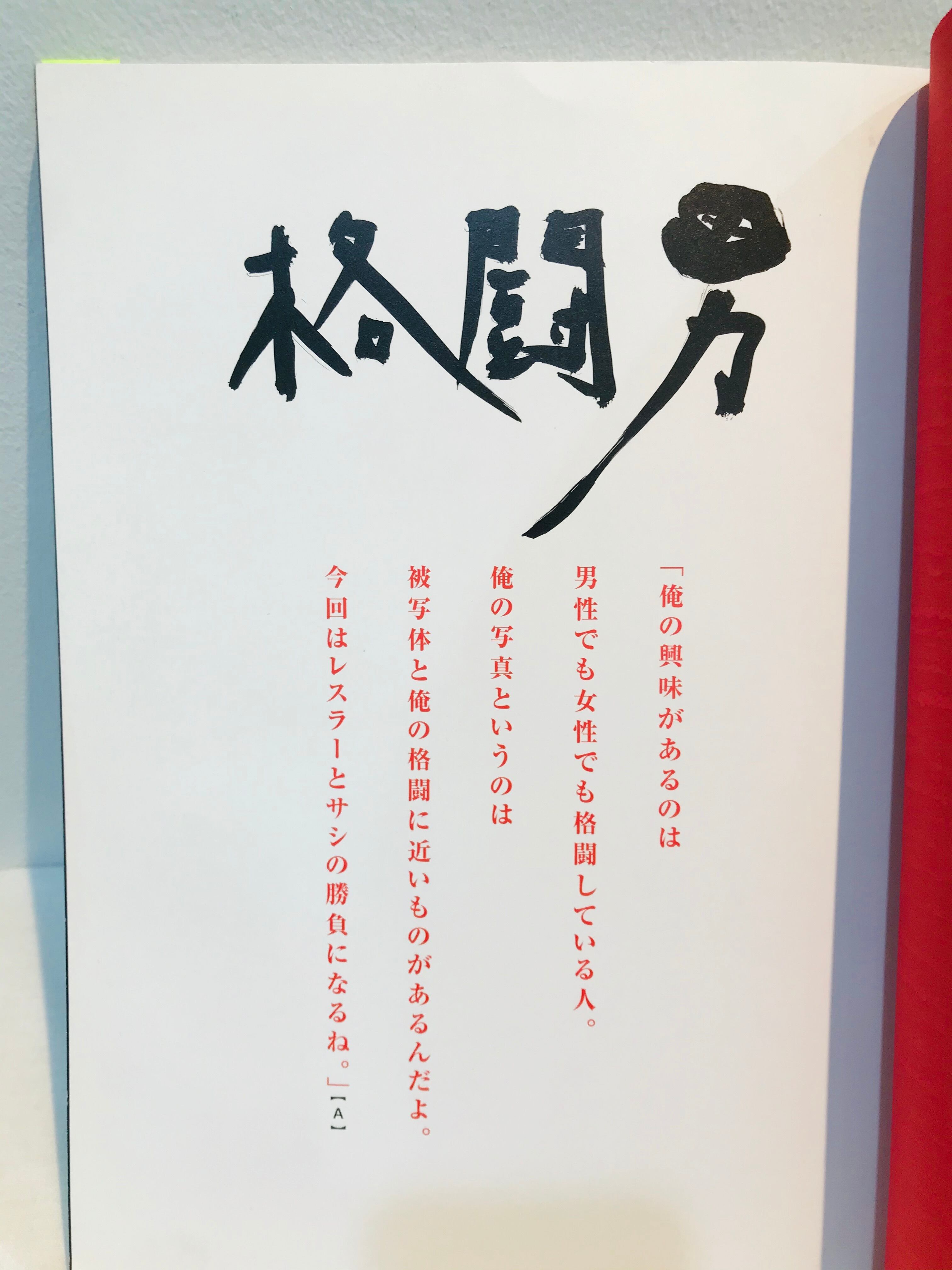 サイン4名 格闘男 荒木経惟vs11人のプロレスラー | zbooks