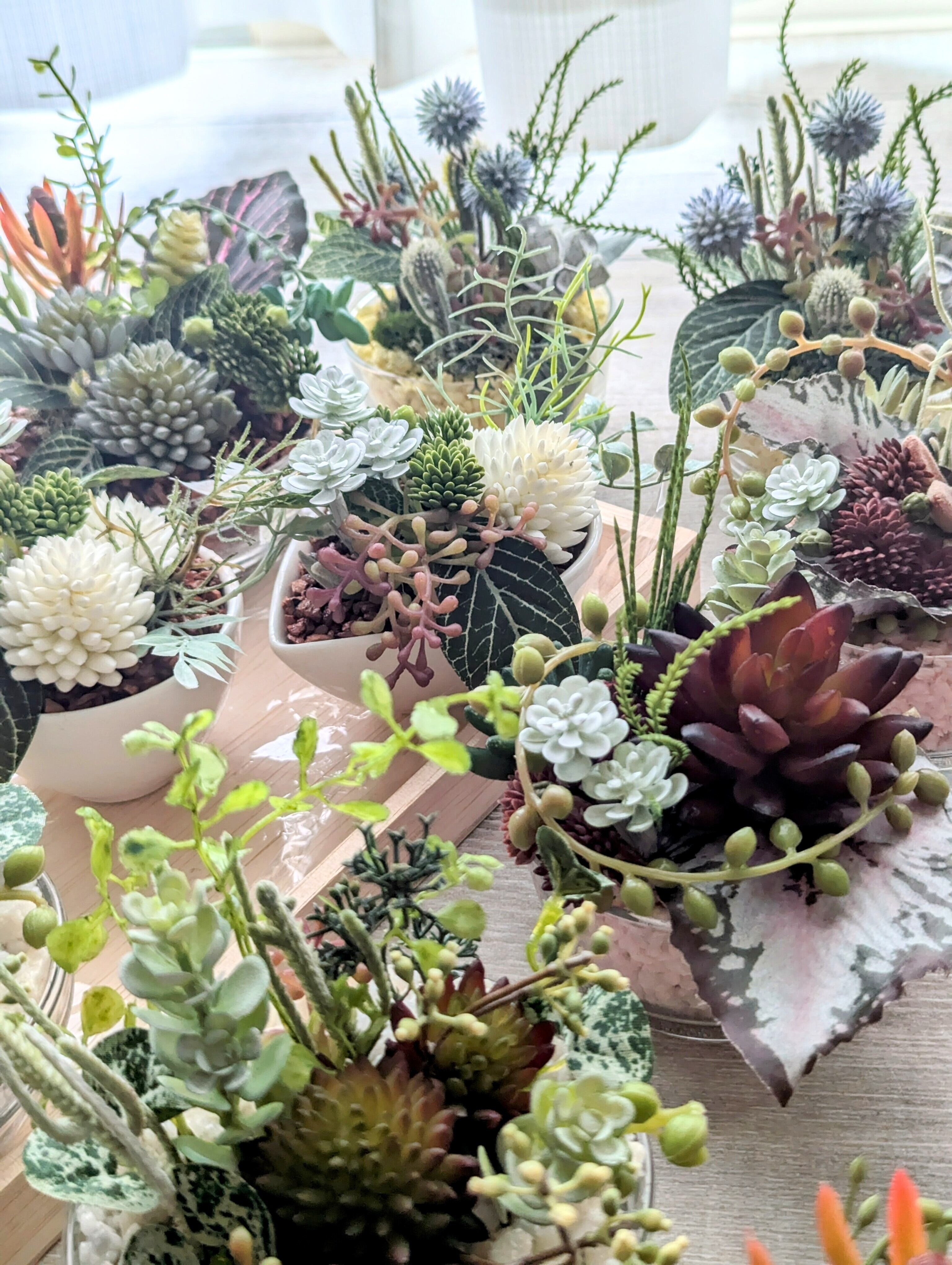 多肉植物＆グリーンアレンジメント ティアドロップボウル 寄せ植え風