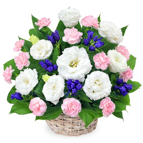 御供アレンジメント03（No.512245）