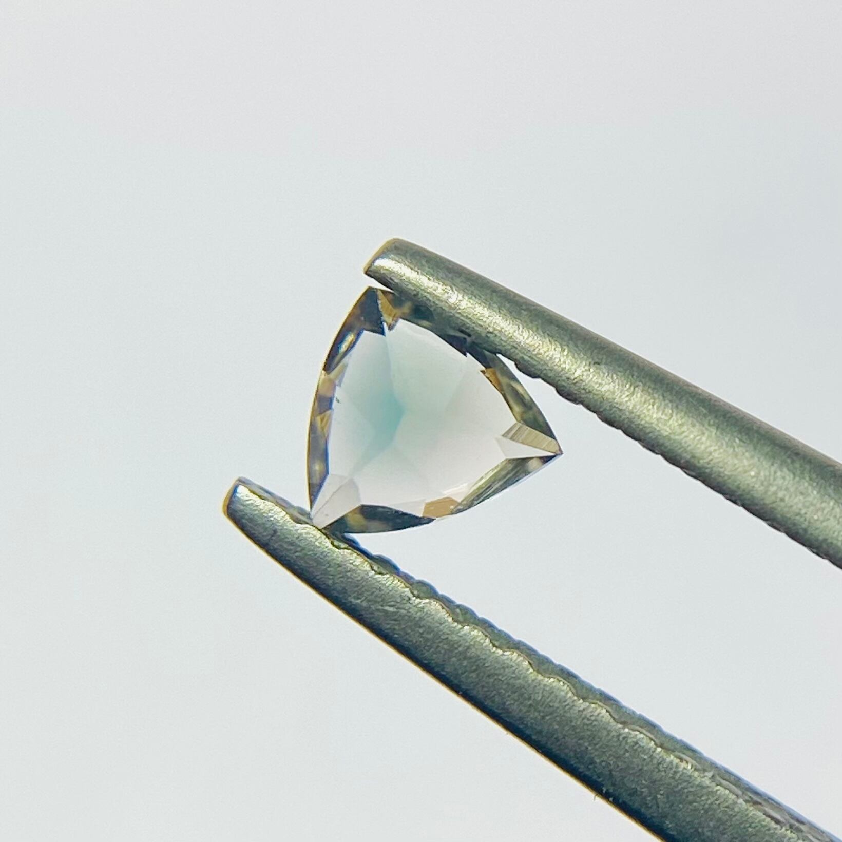 トリリアントなオレサン1