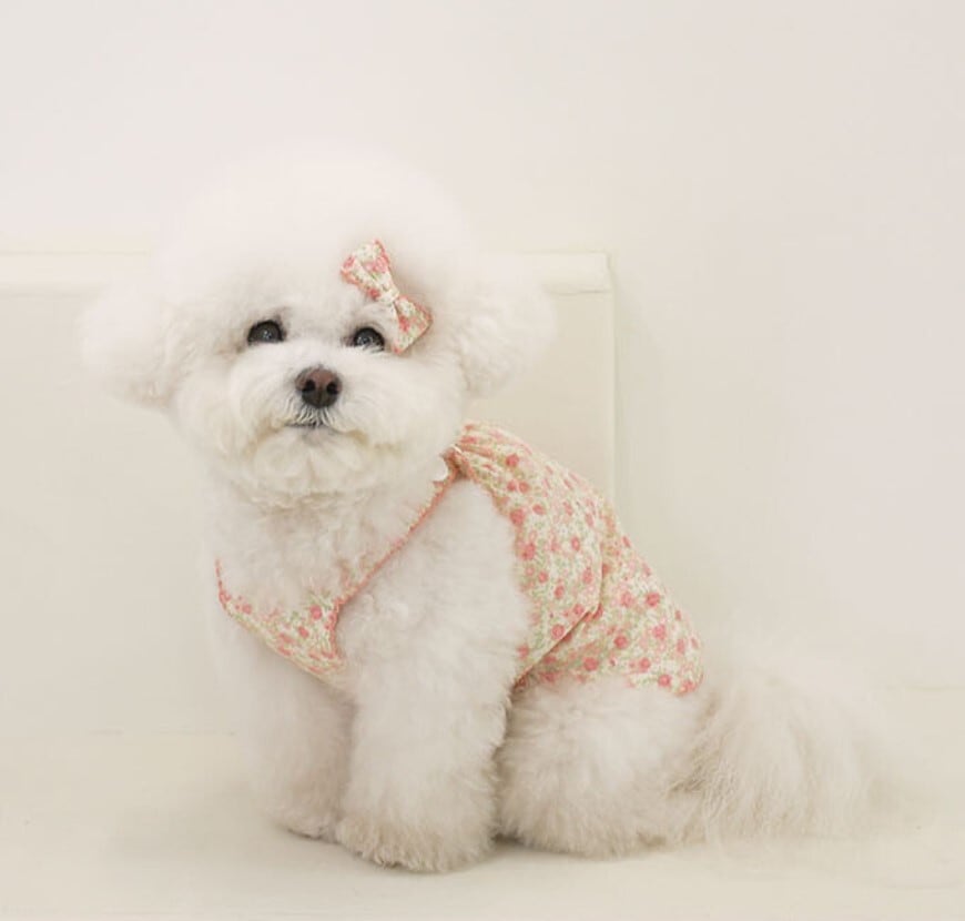 M.L/即納【near by us】powder top《BabyPink》