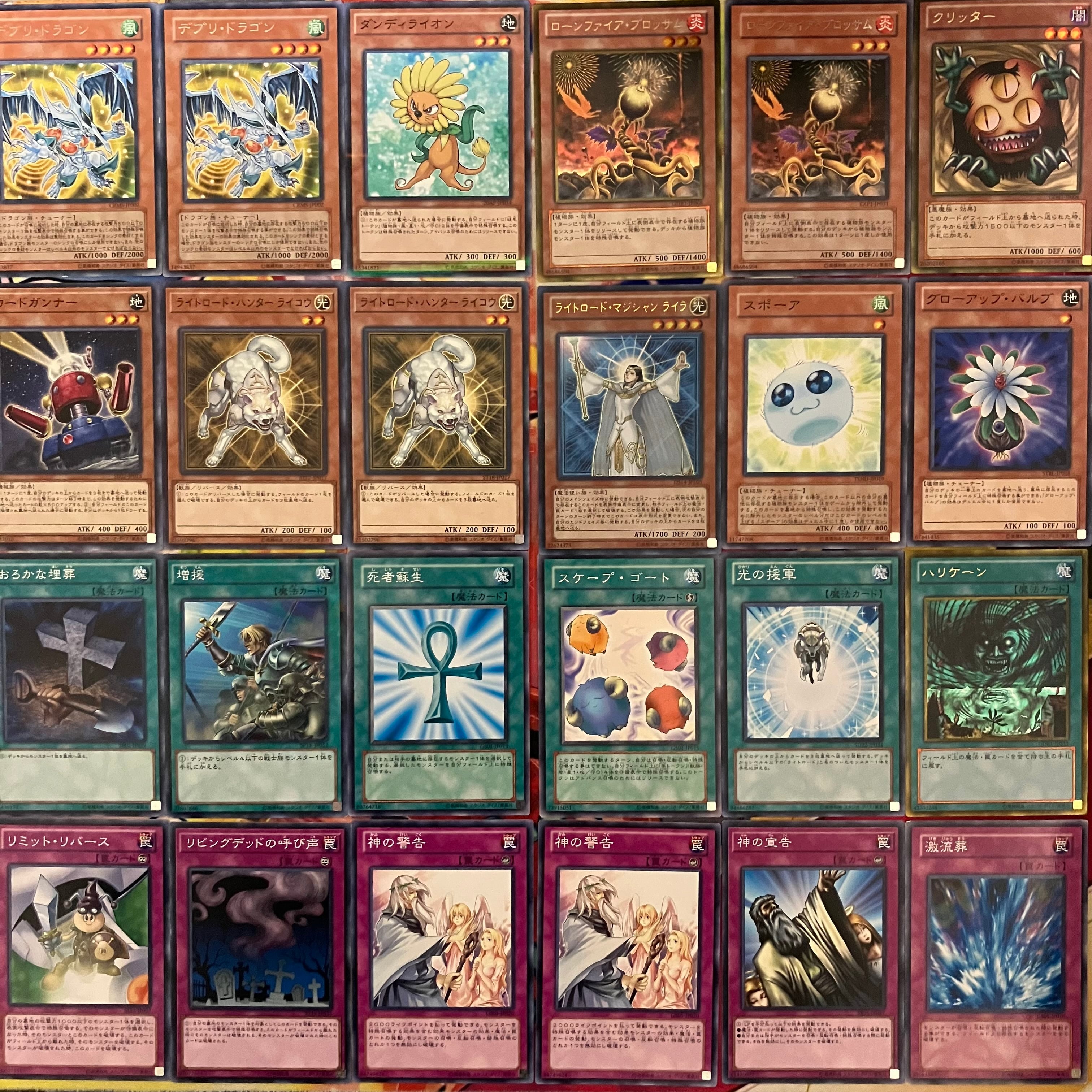 1103環境 デブリダンディ ジャンド デッキ 遊戯王 ゲートボール | Pay ID