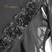 【美品 社交ダンス衣装】トップス レッスンウェア 練習着 ICHIOKU イチオク leirena レイリーナ 黒 ブラック レース 透け感