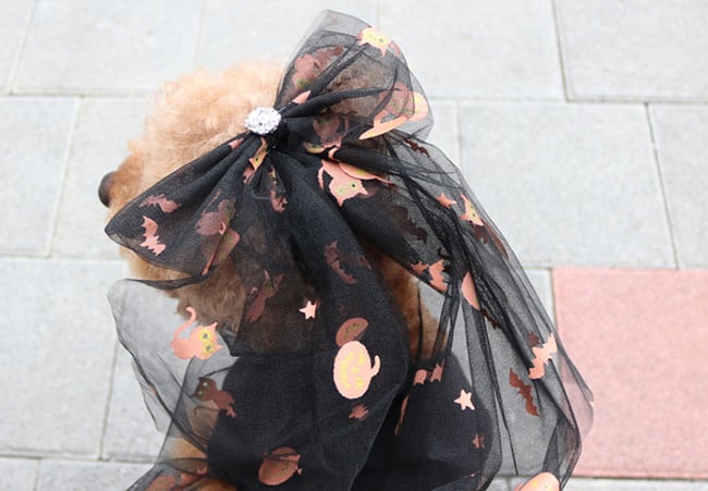 halloween onepiece S ~ XL 2color / 犬の服 犬服 ワンピース