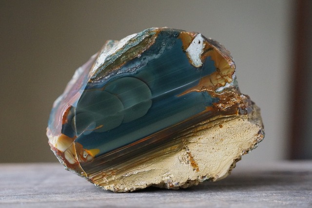 ブルーマウンテンジャスパー Jasper  ⑦