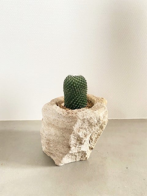 マミラリア・ピコ 天然石ポット入り