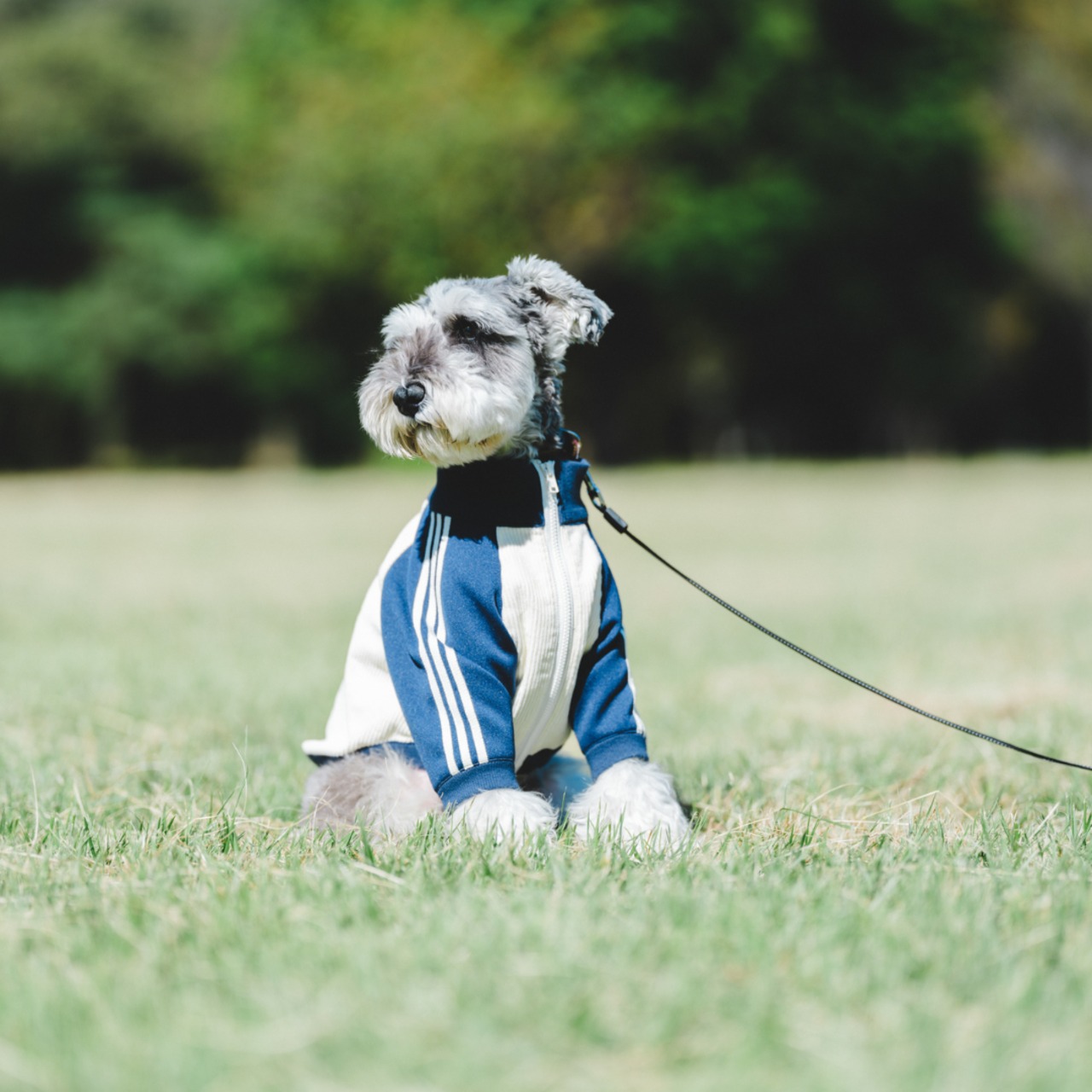 Best Partner's Jersey