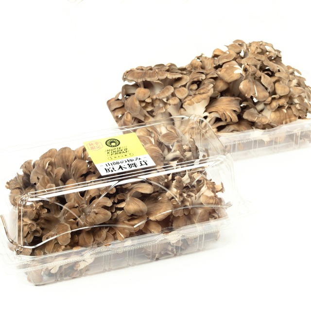 【季節限定】原木舞茸/ 1パック 250g